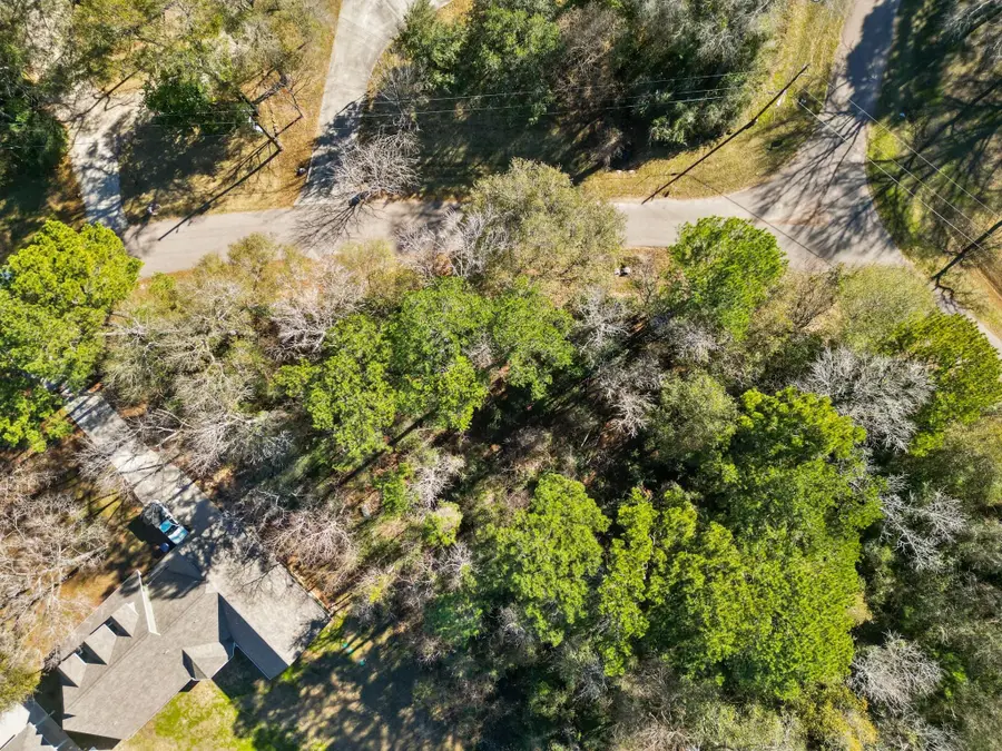 0 Paradise View Dr, Willis, TX 77318 - #2