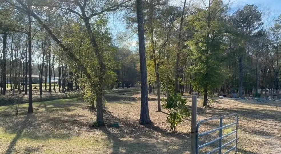 23859 Mydas Fly Lane, New Caney, TX 77357 - #1