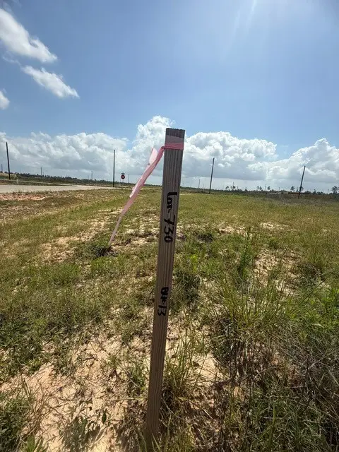 1402 Road591506, Cleveland, TX 77327 - #2