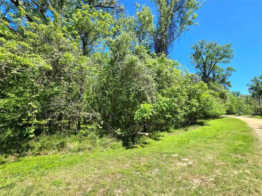 TBD County Road 2167c, Cleveland, TX 77327 - #2