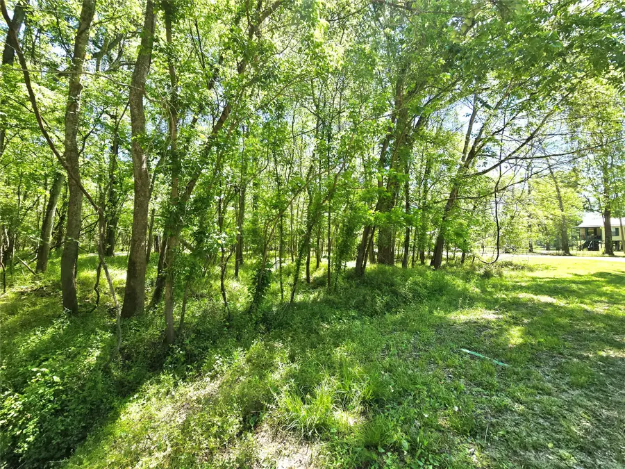 TBD County Road 2167c, Cleveland, TX 77327 - #3