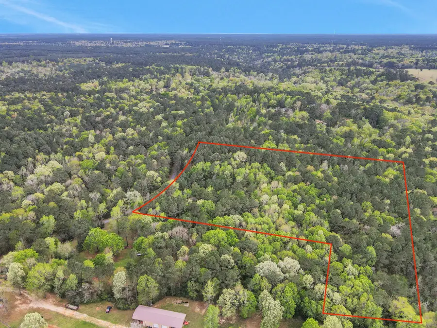 000 Rose Hill Road, Coldspring, TX 77331 - #3