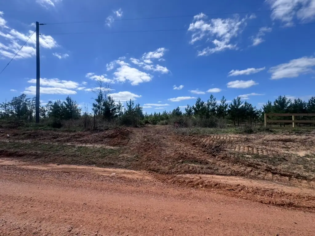 1832 E Soda Loop, Livingston, TX 77351 - #1