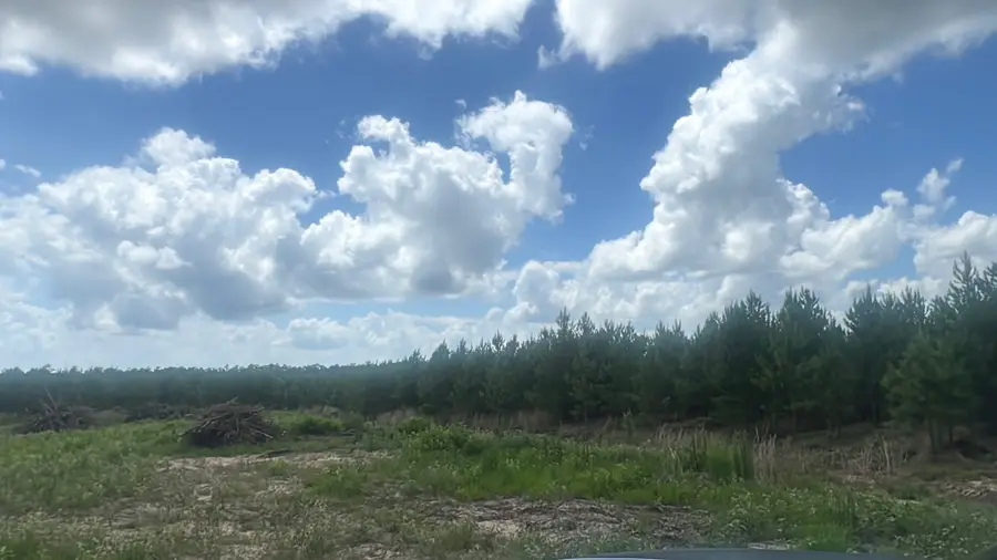 1832 E Soda Loop, Livingston, TX 77351 - #2