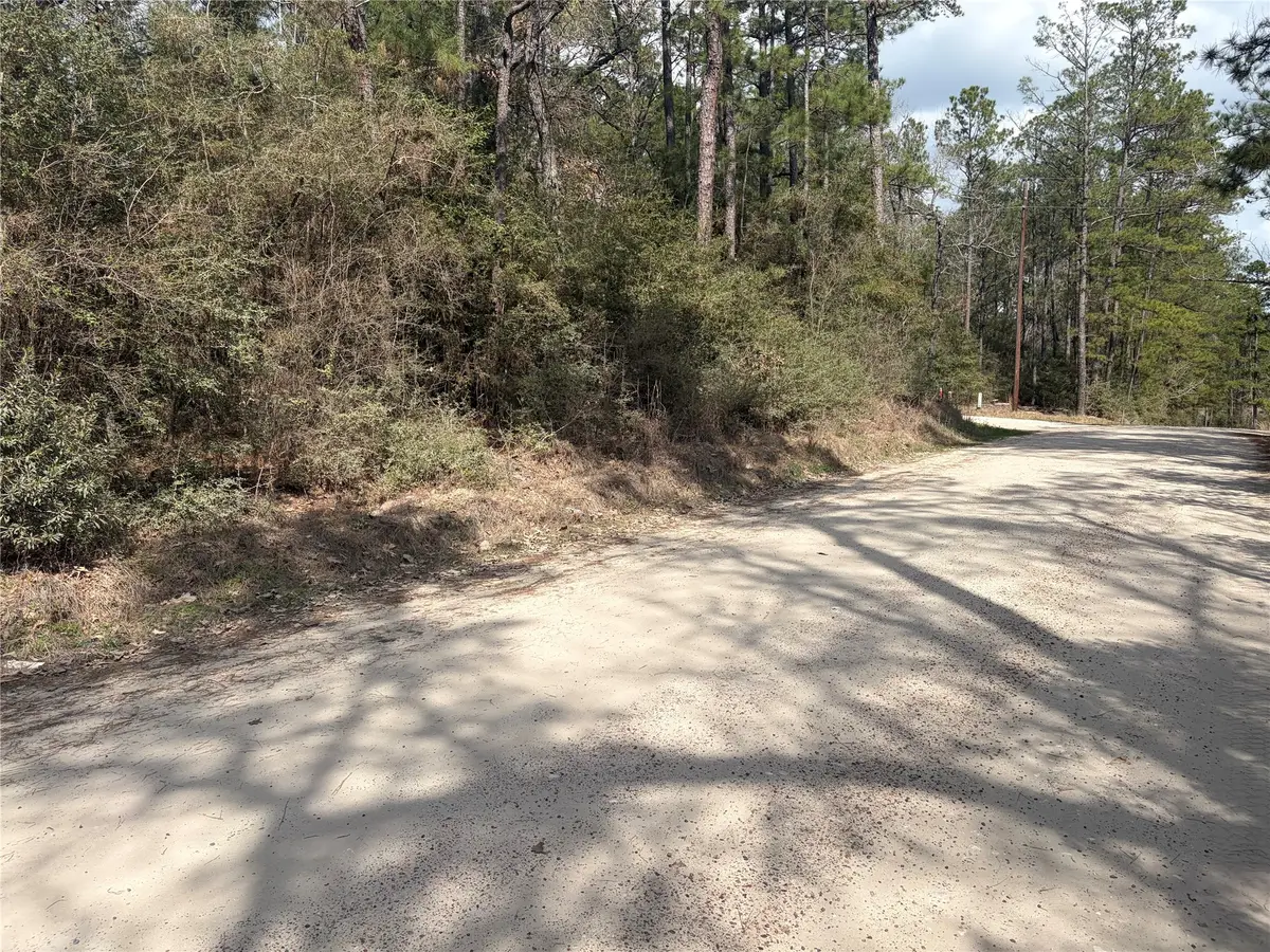 TBD Little Ponderosa Drive, Onalaska, TX 77360 - #1