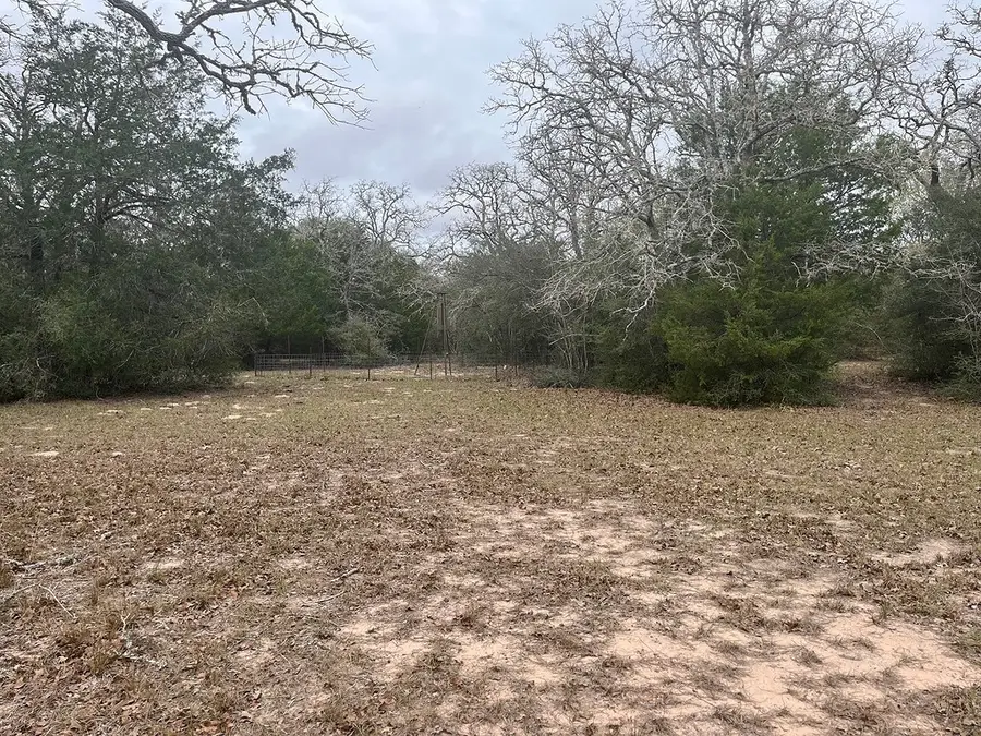 TBD Private Road 1019, Hallettsville, TX 77964 - #2