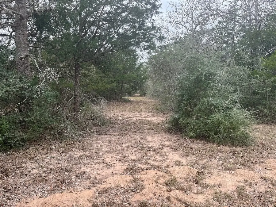 TBD Private Road 1019, Hallettsville, TX 77964 - #3