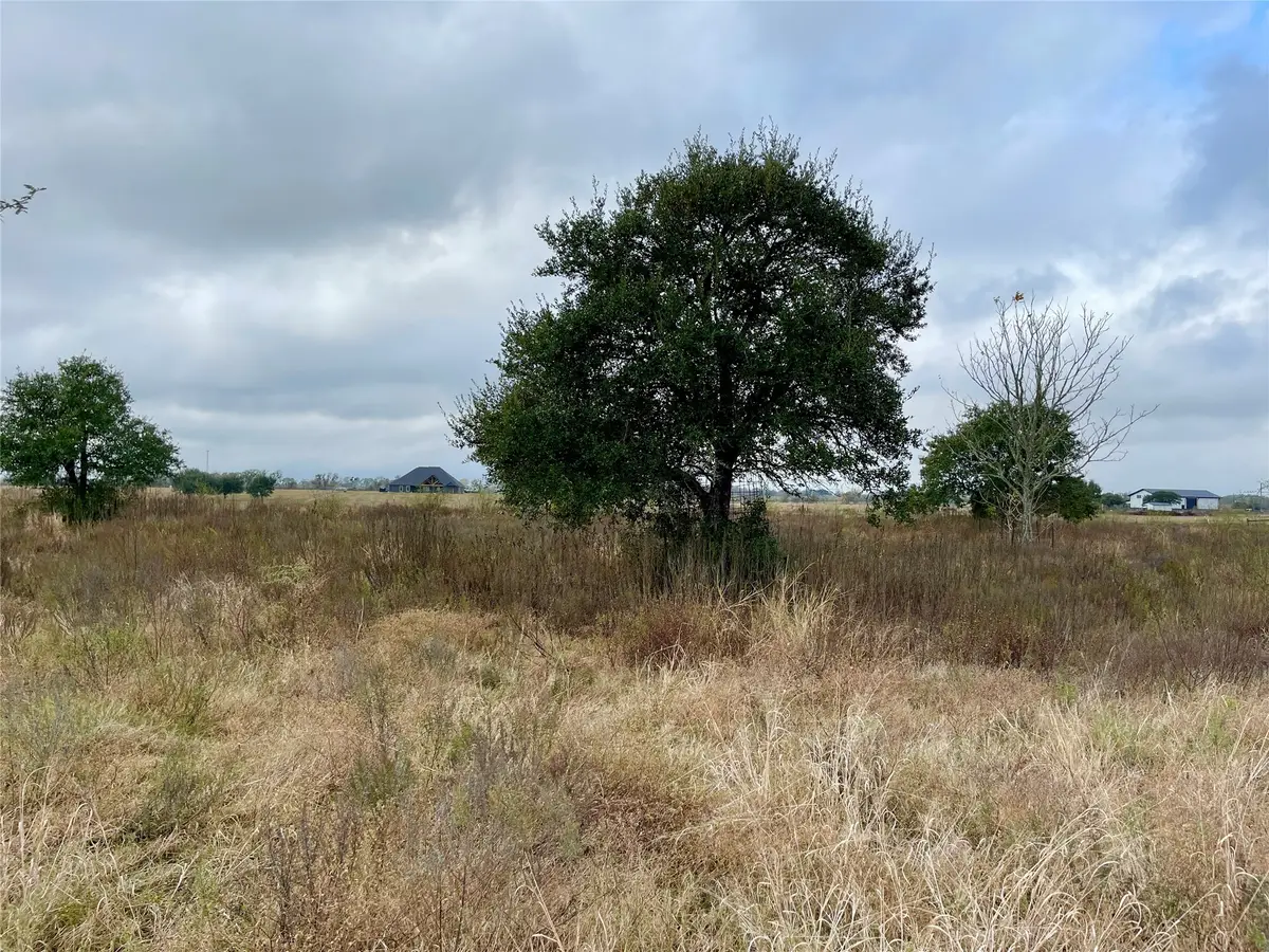 16887 Bosse, Washington, TX 77880 - Image #1