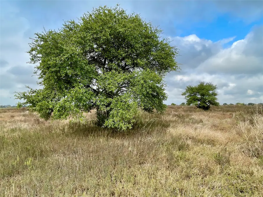 16887 Bosse, Washington, TX 77880 - Image #3