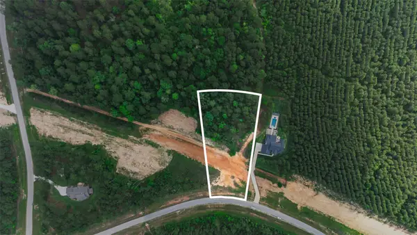 15464 Forest Grove Drive, Willis, TX 77378