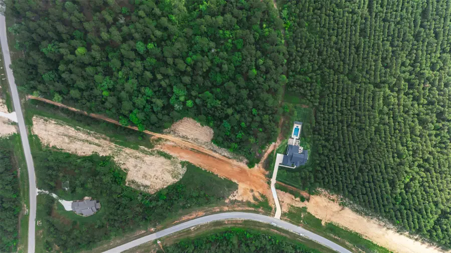 15464 Forest Grove Drive, Willis, TX 77378 - #2