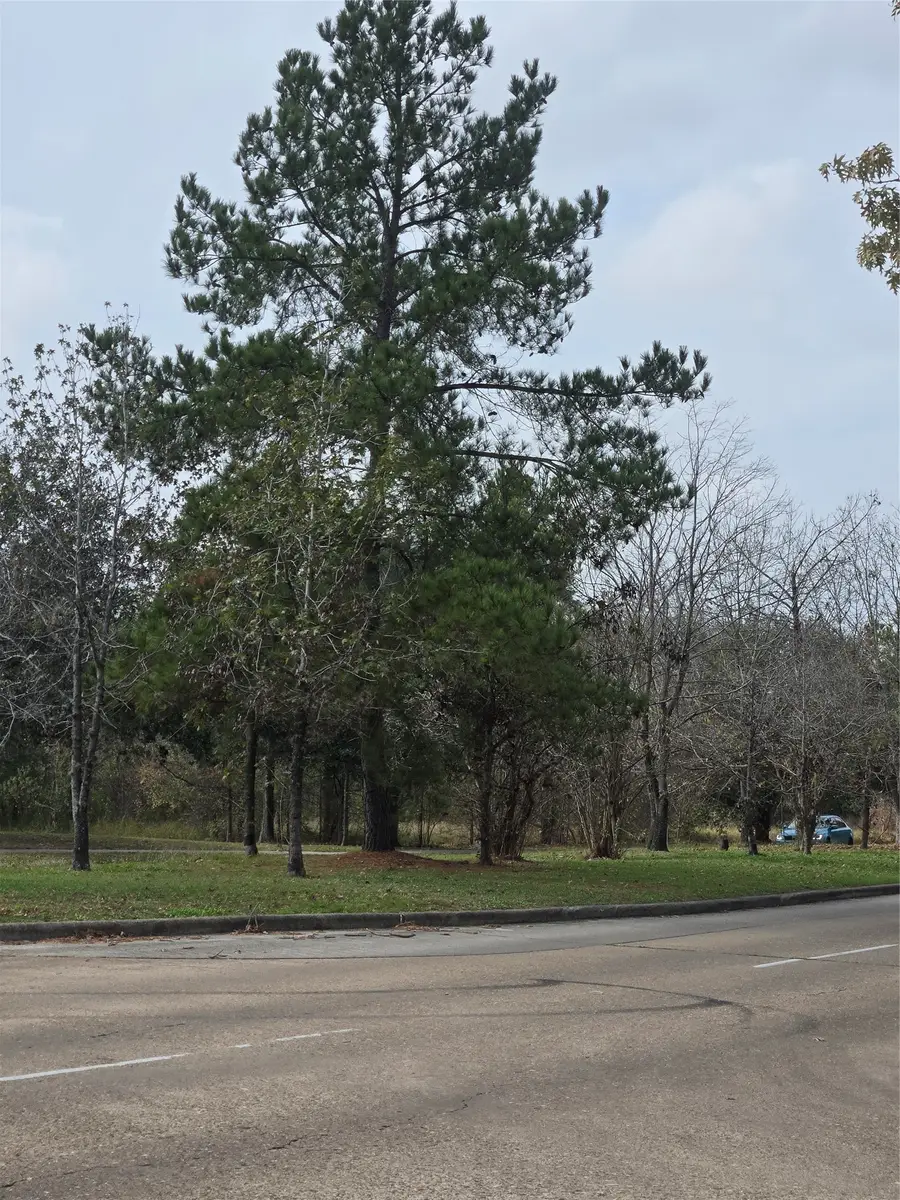 1134 Wynnwood Lane, Houston, TX 77008 - #2