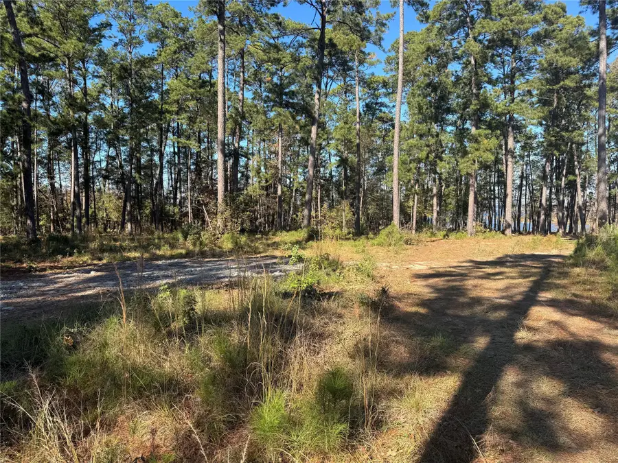 021 Private Rd 6028, Brookeland, TX 75931 - Image #2