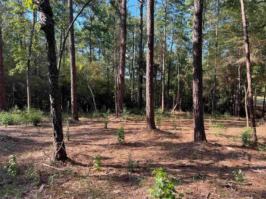 021 Private Rd 6028, Brookeland, TX 75931 - Image #3