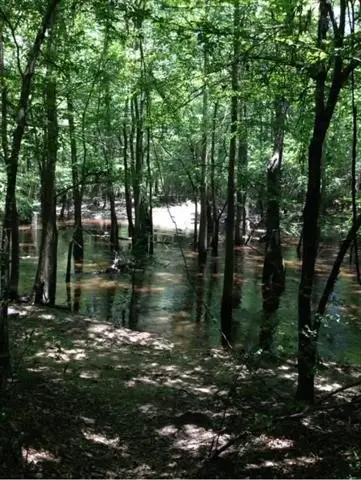 12615 Beaver Brook Street, Lumberton, TX 77657 - #2