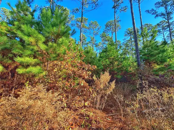 TBD Acr 157, Palestine, TX 75801