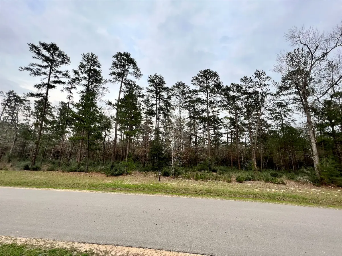 TBD7 Lily Bean, Montgomery, TX 77316 - #1