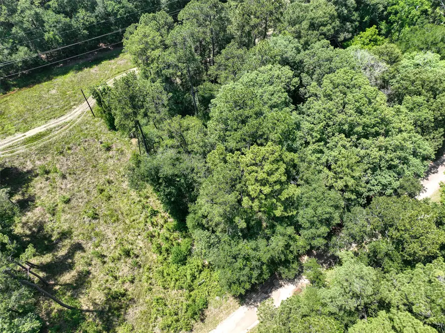 00 Fairway Dr, New Caney, TX 77357 - #3