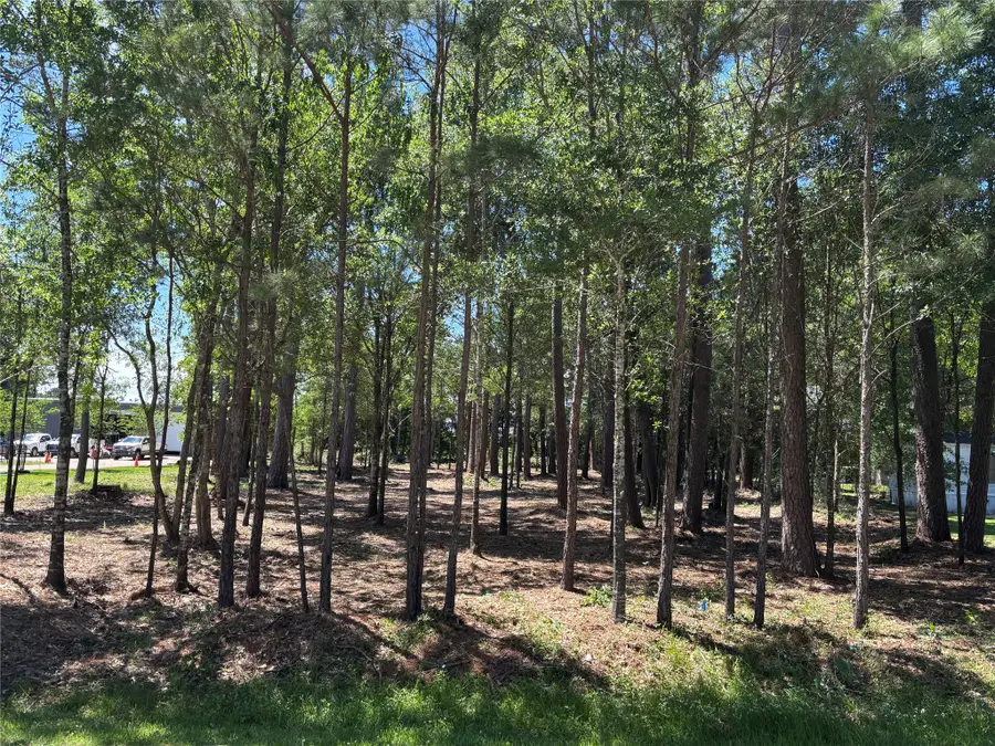 0 Bear Branch, Magnolia, TX 77354 - #2
