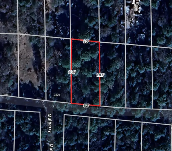 Lot 28 Sycamore Lane, Plantersville, TX 77363