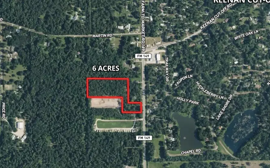 9367 Fm 149 Road, Montgomery, TX 77316 - #3