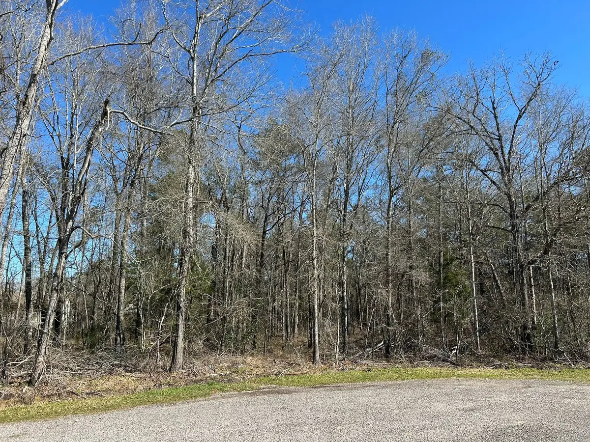 1.24 ac Circle 5, Orange, TX 77632 - Image #1