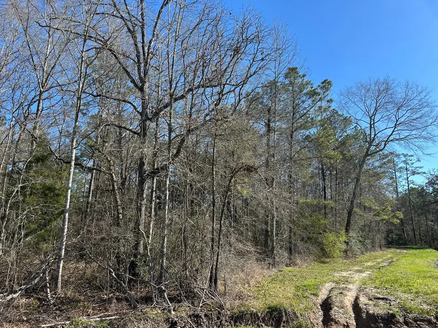 1.24 ac Circle 5, Orange, TX 77632 - Image #2