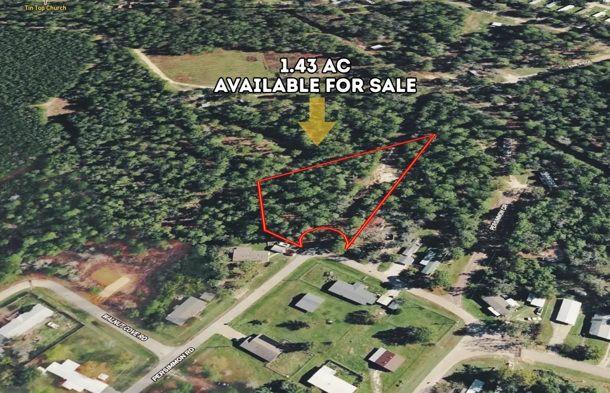 0 Persimmon Road, Onalaska, TX 77360 - Image #1