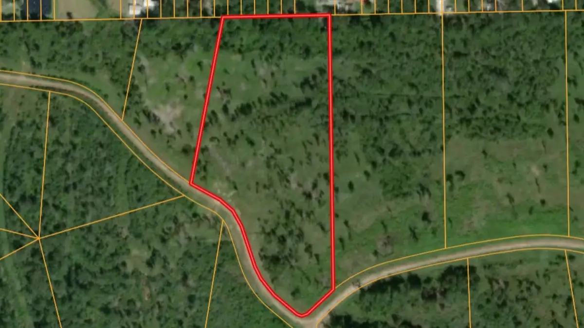 Lot 4 Eagle Falls Boulevard, Trinity, TX 75862 - #1