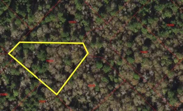 149 Hollow Hill Drive, New Waverly, TX 77340