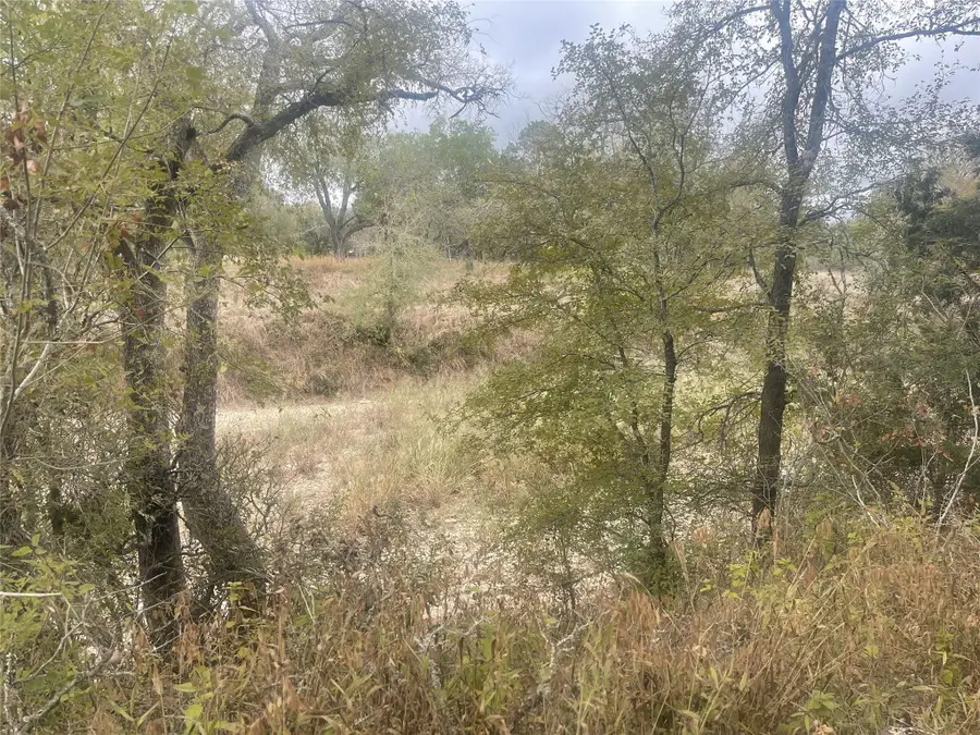 2171 Onion Creek Bend, Driftwood, TX 78619 - #2