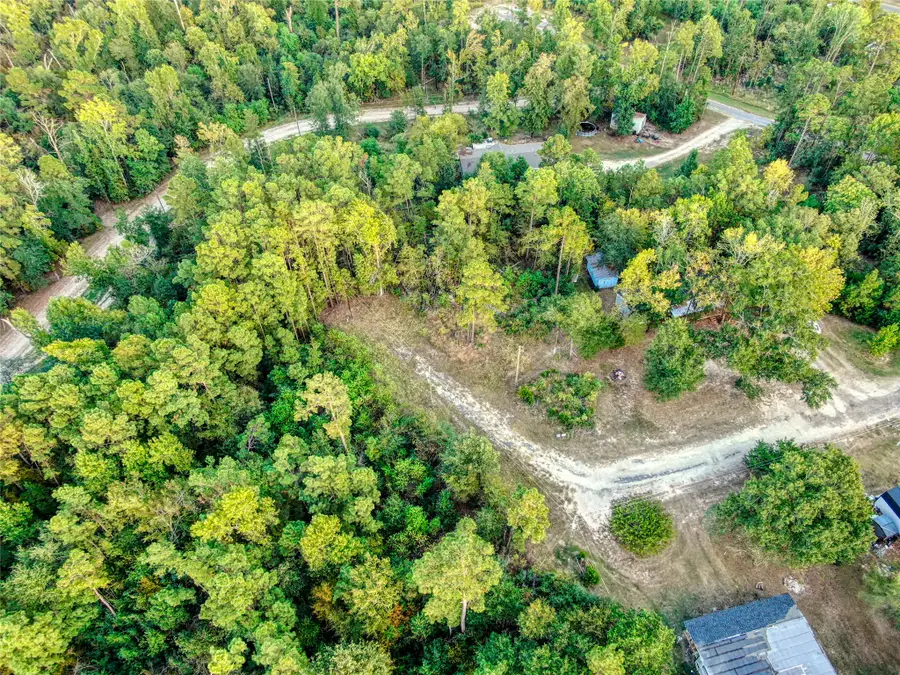 184 Willow Drive, Onalaska, TX 77360 - #3