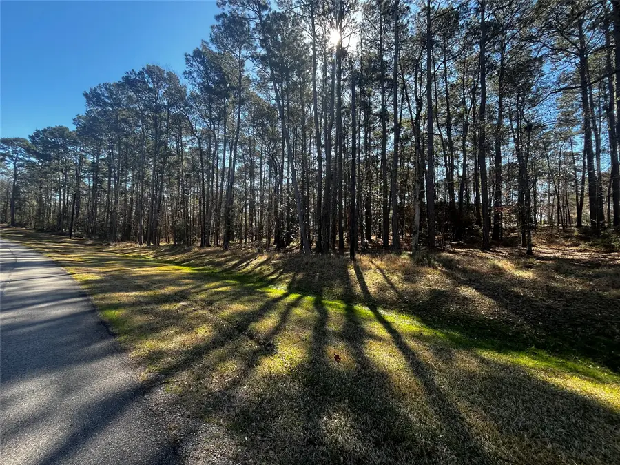 26 Altwood Drive, Coldspring, TX 77331 - #2