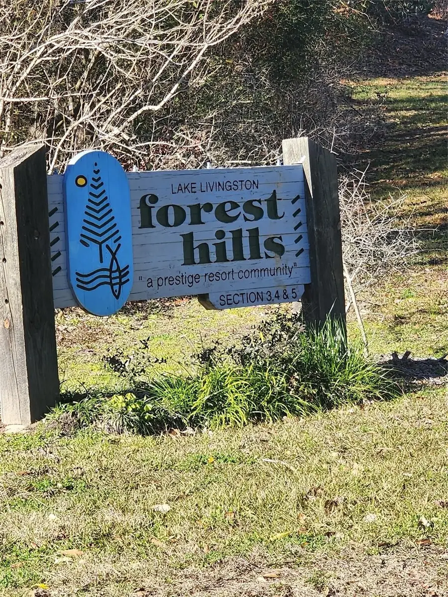 Lot 427 Echo Hills Lane, Livingston, TX 77351 - Image #2