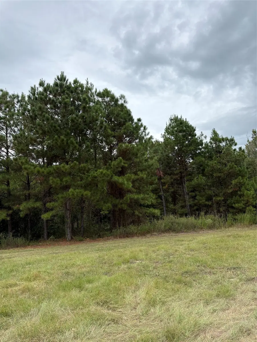 150 Loraine B Road, Point Blank, TX 77364 - #3