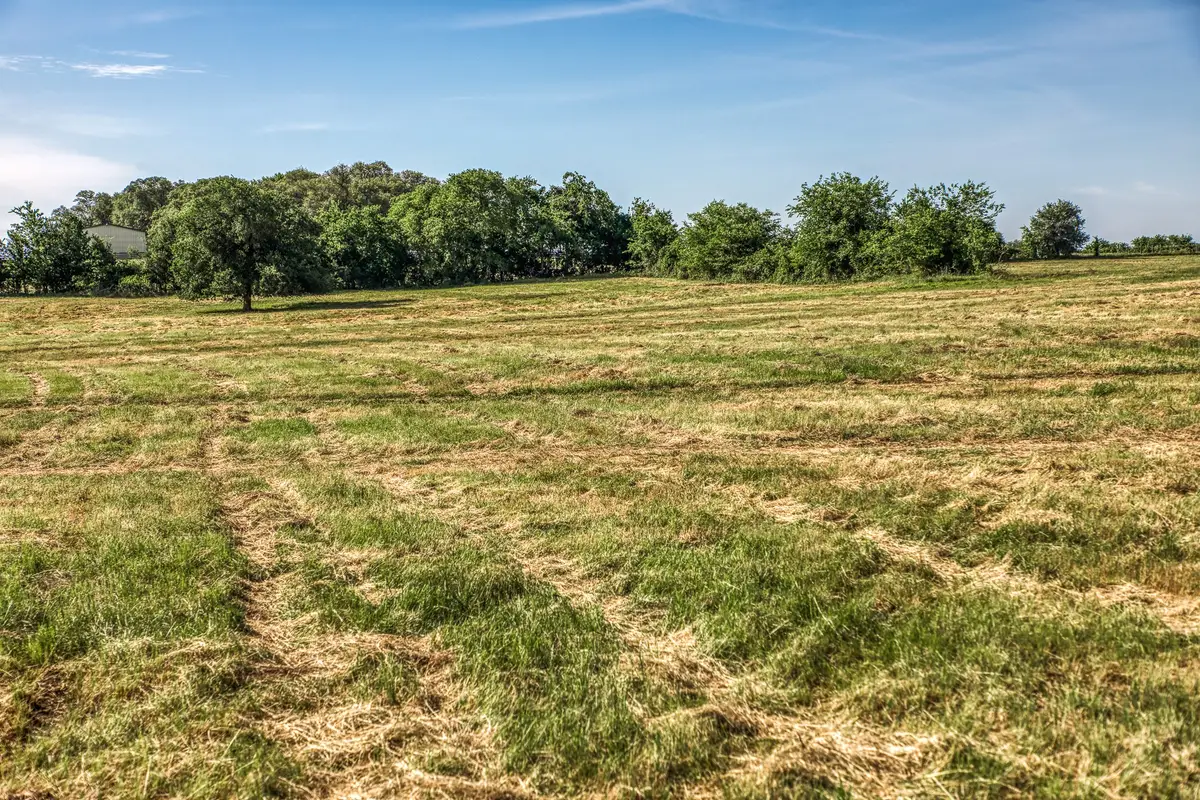 Tract 5 - 8145 Fm 390 E, Brenham, TX 77833 - #1