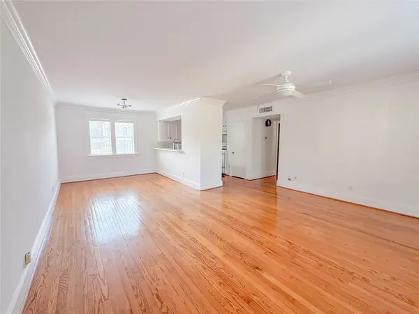 1603 Heights Boulevard #14, Houston, TX 77008
