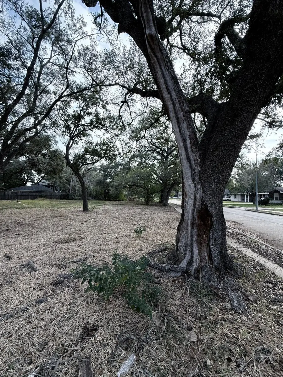 4038 Woodshire Street, Houston, TX 77025 - Image #2