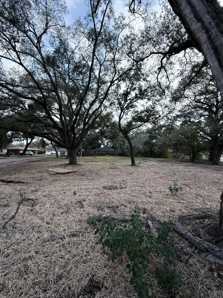 4038 Woodshire Street, Houston, TX 77025 - Image #3