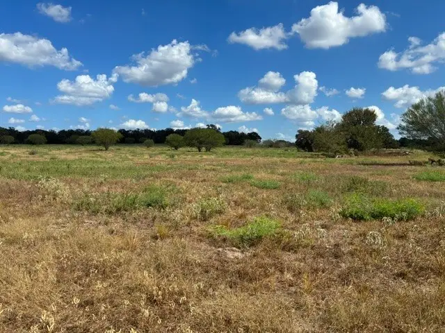 TBD County Road 121, Dime Box, TX 77853 - #3
