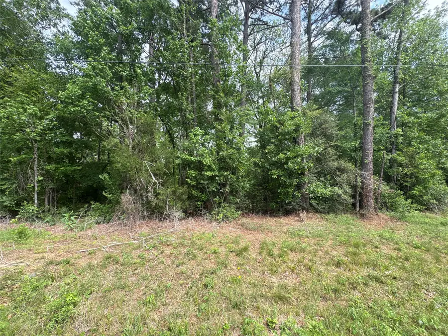 468A & 469B Royal Creek Road, Conroe, TX 77303 - #2