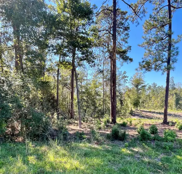 000 County Lane, Moscow, TX 75960