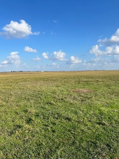 11401 Fm 1994, Guy, TX 77444 - Image #1