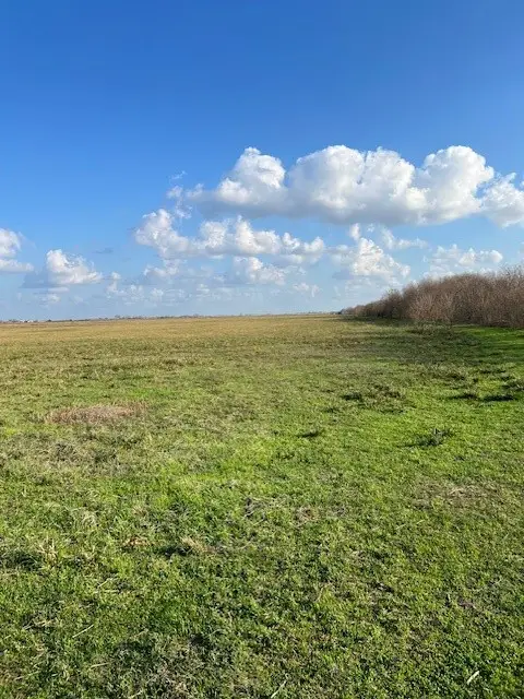 11401 Fm 1994, Guy, TX 77444 - Image #2