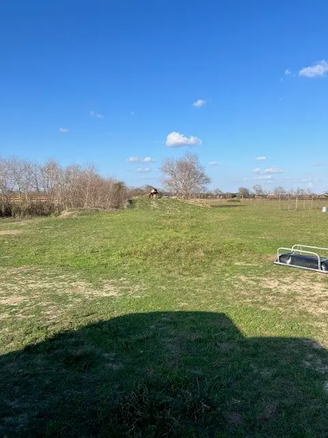 11401 Fm 1994, Guy, TX 77444 - Image #3