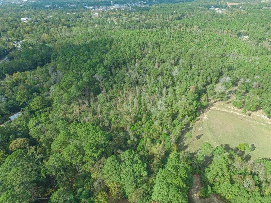 TBD S Houston Street, Livingston, TX 77351 - Image #2