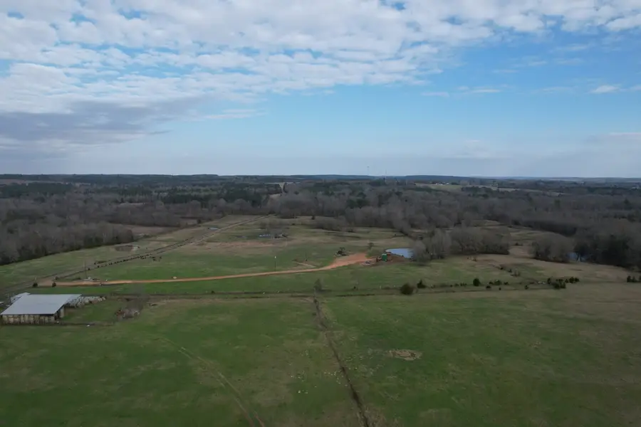 TBD County Road 378, Laneville, TX 75667 - Image #3