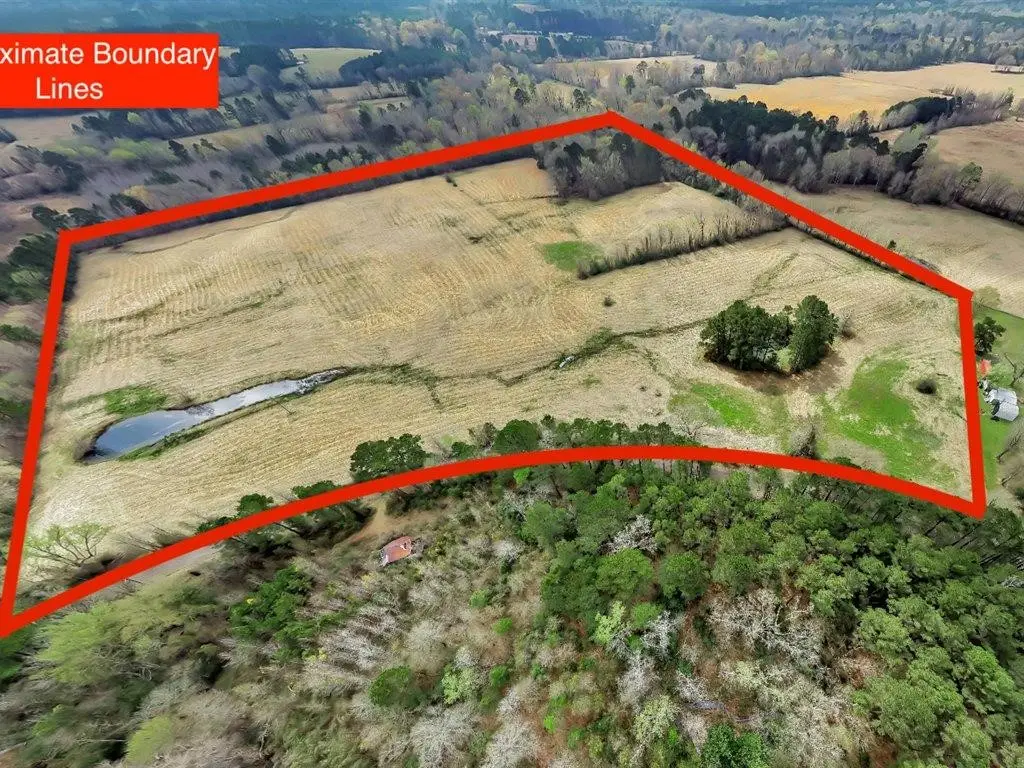 L28104 Gilliland Creek Road, Huntington, TX 75949 - #1