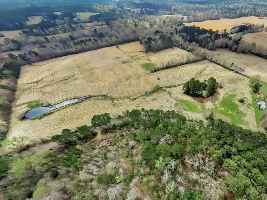 L28104 Gilliland Creek Road, Huntington, TX 75949 - #2