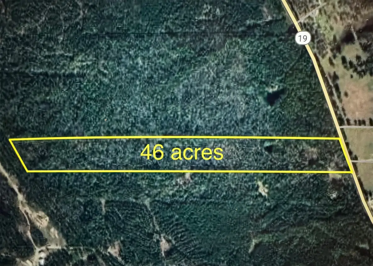 4109 N State Highway 19, Trinity, TX 75862 - Image #1